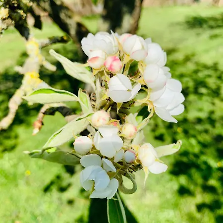 Hotel Hoeve Beusdalshof Ingber