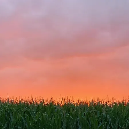 Hotel Hoeve Beusdalshof