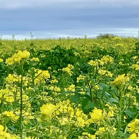Hotel Hoeve Beusdalshof *
