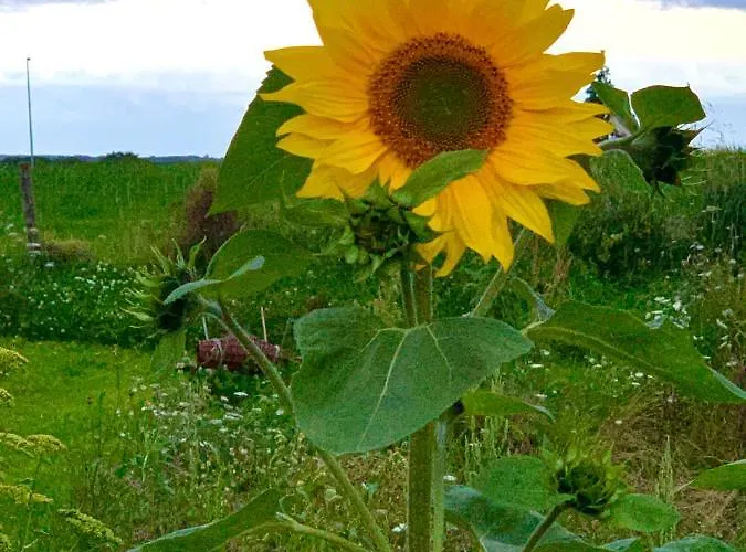 Hoeve Beusdalshof Ingber