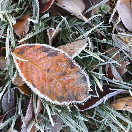 Hotel Hoeve Beusdalshof Ingber