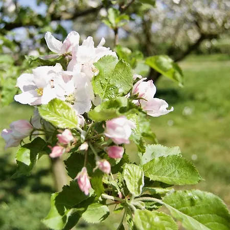 Hoeve Beusdalshof Hotel *