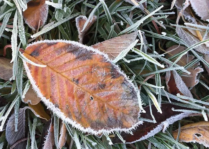 Отель Hoeve Beusdalshof Ingber