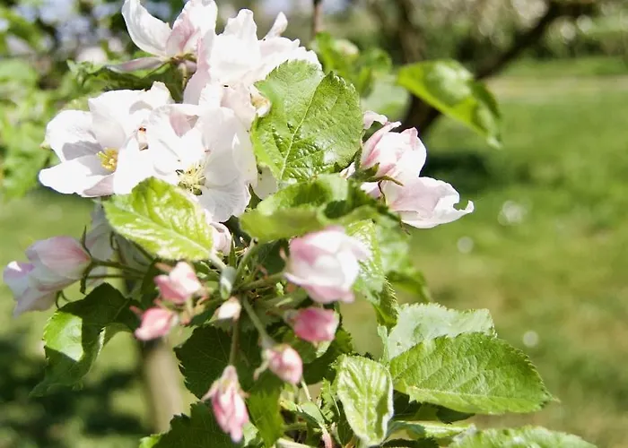 Hoeve Beusdalshof Отель *
