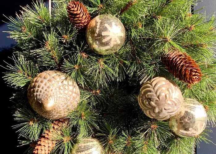 Отель Hoeve Beusdalshof