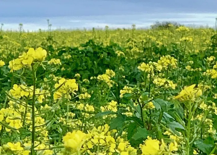Отель Hoeve Beusdalshof *