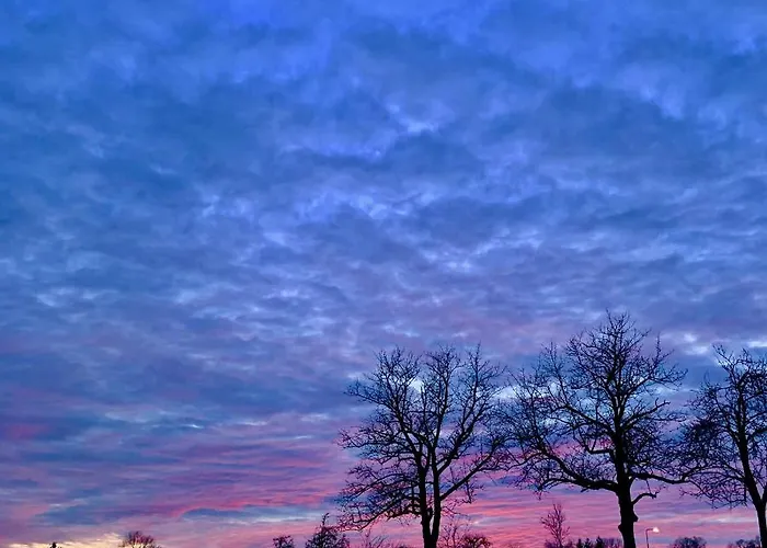 Отель Hoeve Beusdalshof